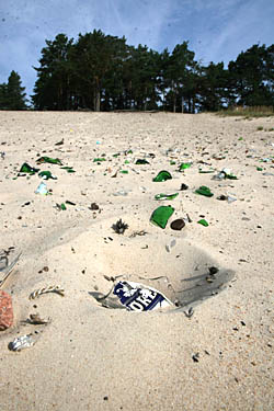  Не Белые пески, а стекольное поле (Фото Юрия Шестернина)