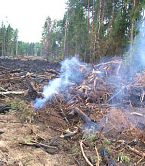  Сжечь отходы древесины легко. Сложней их потушить 