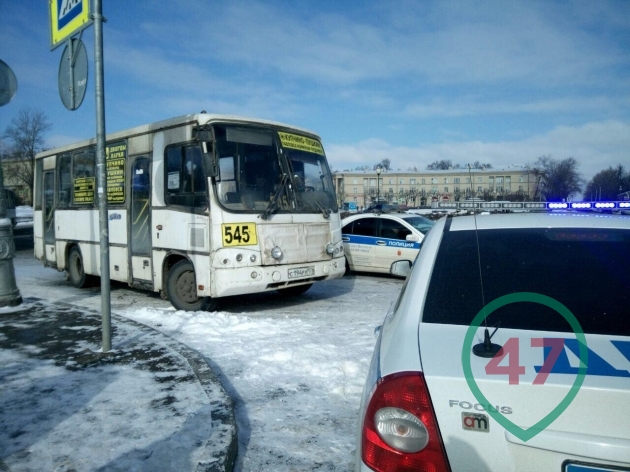 В Ленобласти полиция массово выявляет нелегальных перевозчиков