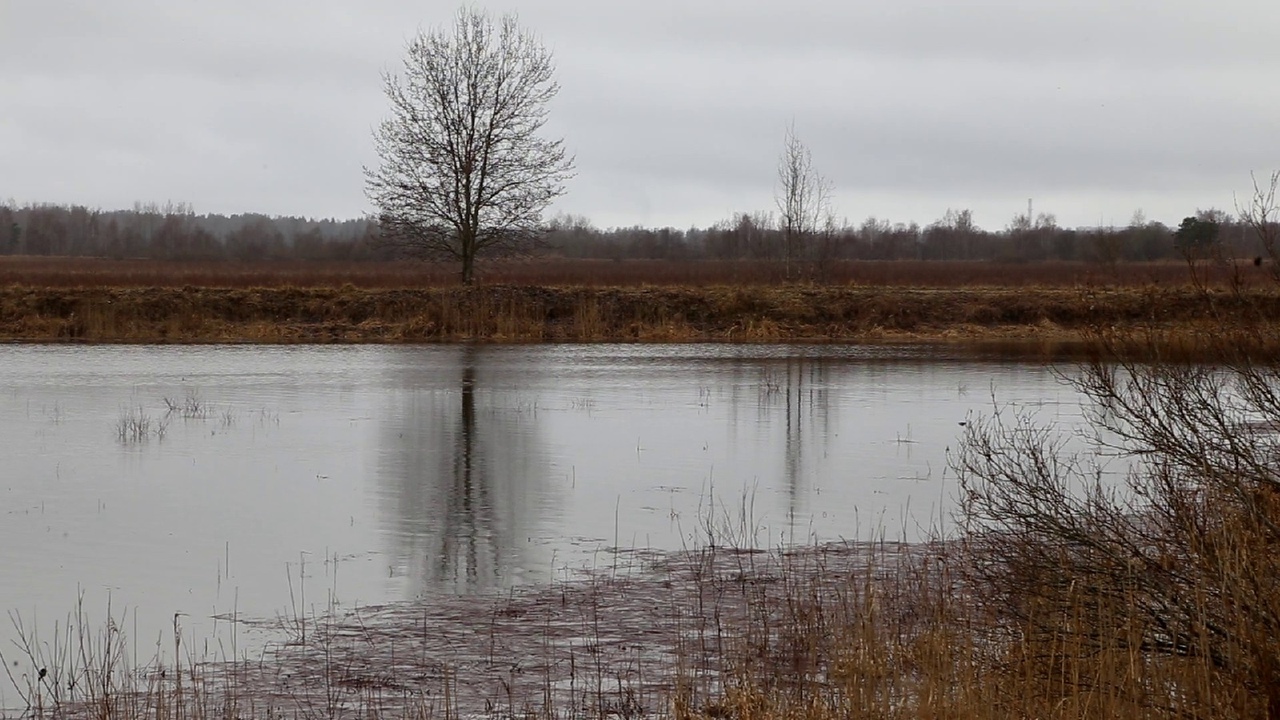 Почему пруды в Ковашах продолжают обезвоживать и вмешается ли в это прокуратура? 