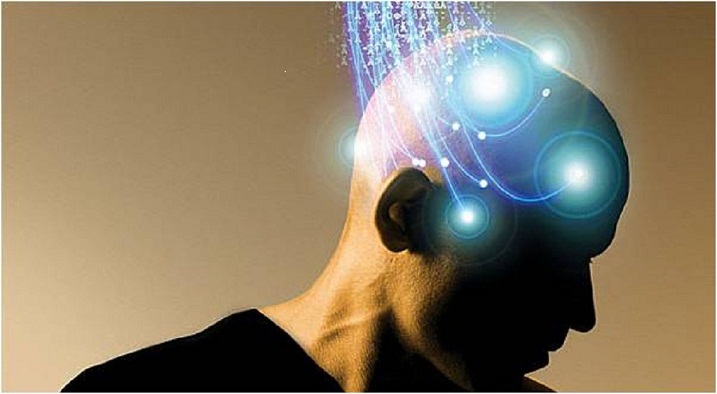 essay about mind and brain essay about mind and brain