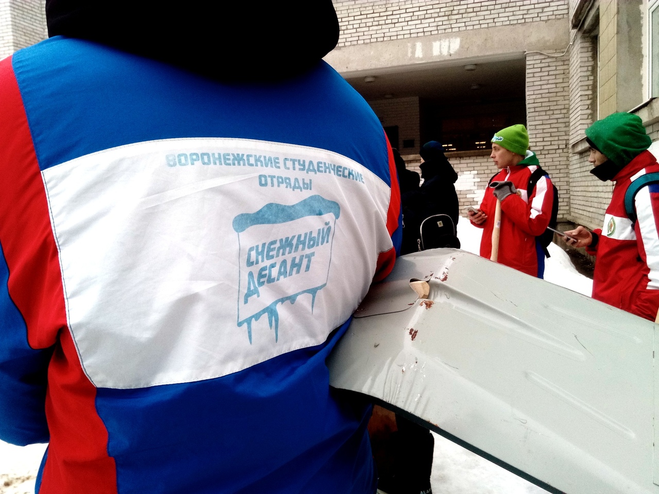 В Сосновом Бору студенческие стройотряды провели День снежного десанта