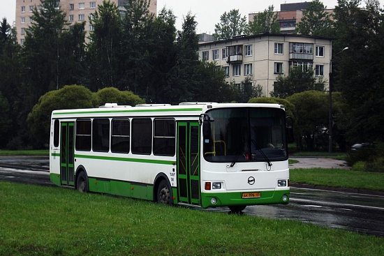 Что выявила операция «Автобус» в Сосновом Бору