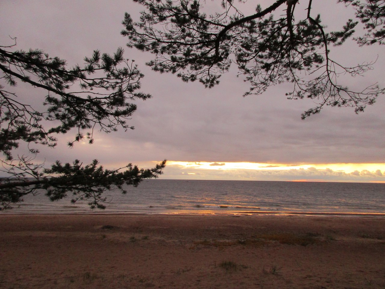 Благоустройство в зоне Липовского пляжа и другие идеи: кто победит в конкурсе «АТР АЭС»?