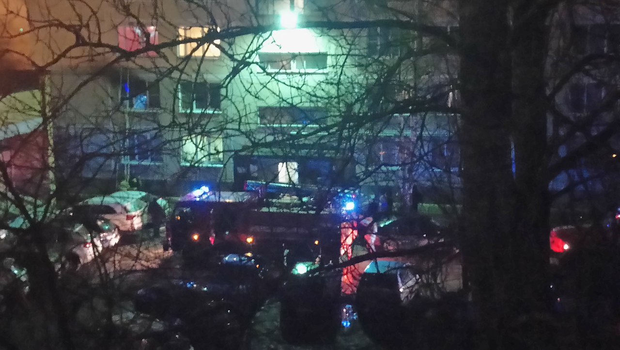 На улице Солнечная в Сосновом Бору в результате пожара погиб мужчина