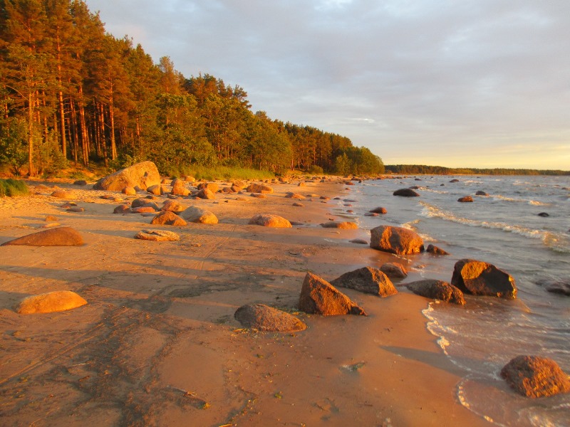 Какой будет погода в августе в Петербурге и Ленинградской области