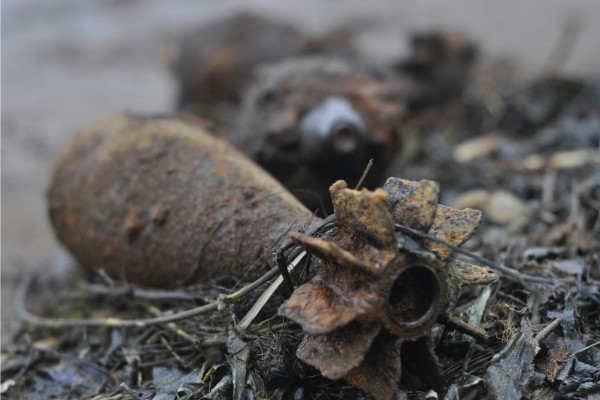 В начале мая в окрестностях Соснового Бора нашли два снаряда