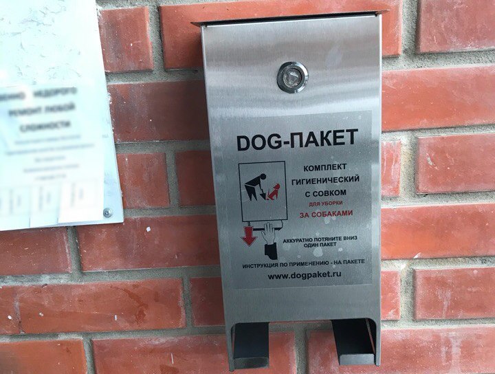 С отходами домашних любимцев в Сосновом Бору будут бороться при помощи "DOG-пакетов"