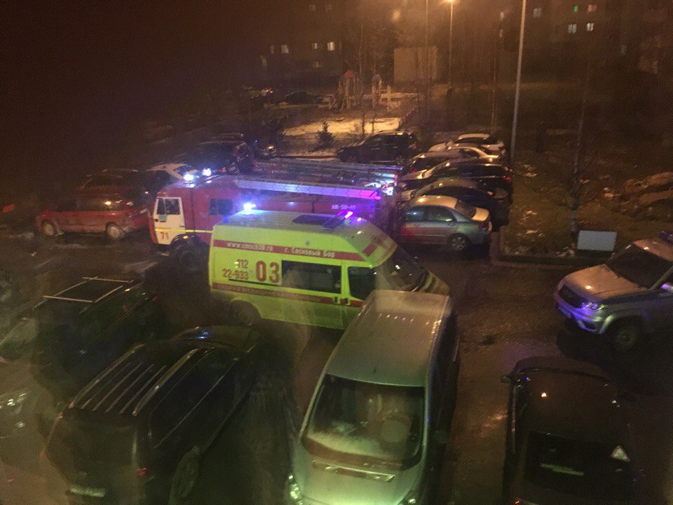 1 января в квартире на Парковой улице в Сосновом Бору произошла стрельба
