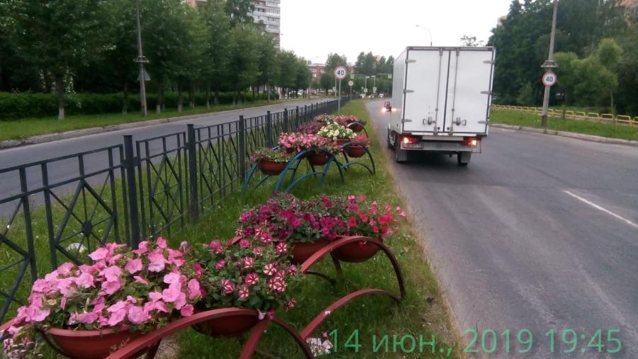 Компания 'Дивный Сад' высадила и разместила на этой неделе 490 кашпо с цветами в Сосновом Бору. Фото: пресс-центр администрации