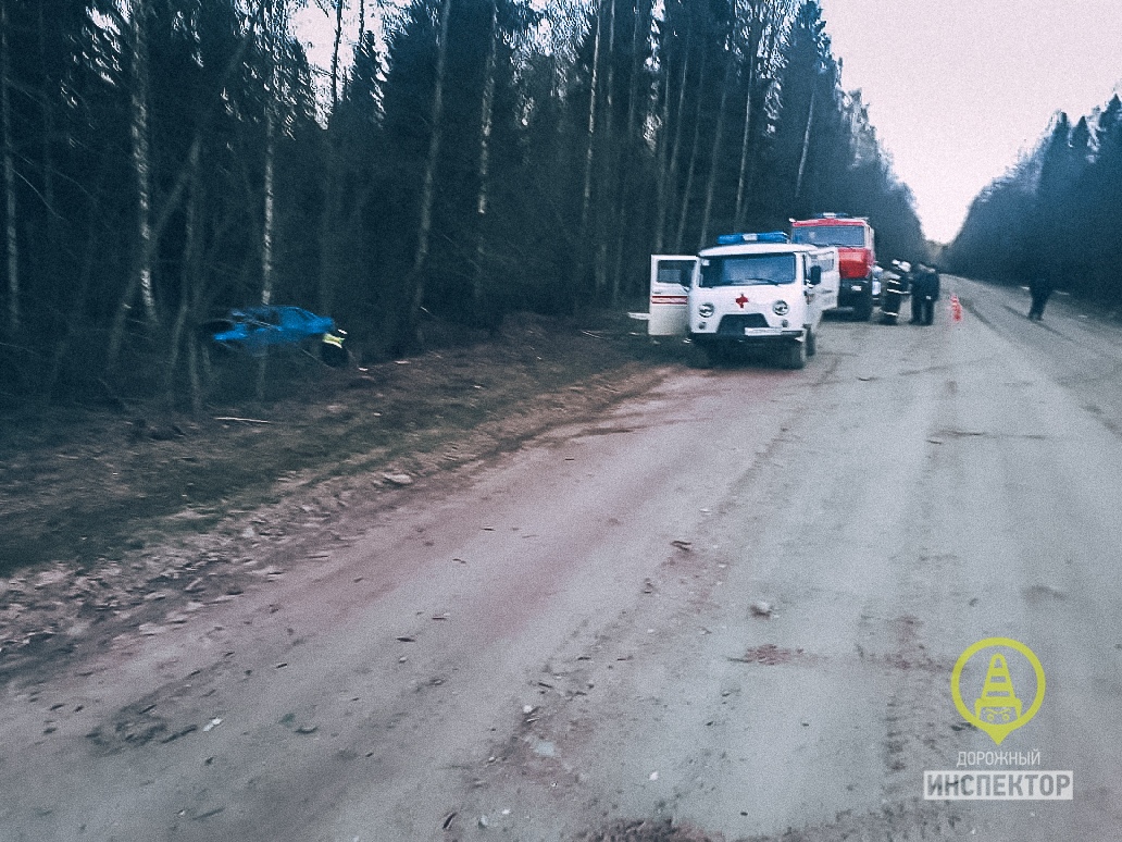 В Бокситогорском районе водитель погиб после столкновения с деревом / Маяк.  Сосновый Бор. Ленобласть.