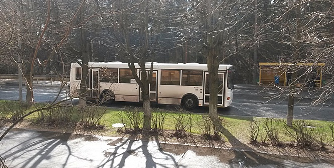 Прокуратура выявила ряд нарушений на автобусных перевозках в Сосновом Бору