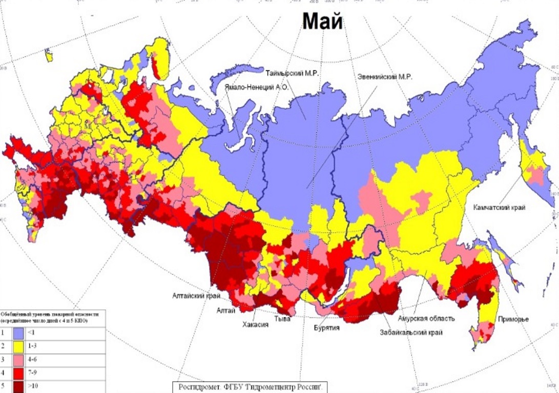 26 областей - Гидрометцентр перечислил области, где в мае ожидается наибольшая пожароопасность