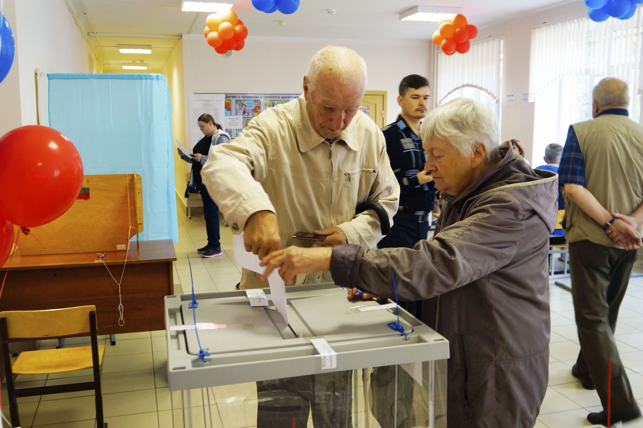 На муниципальные выборы в Сосновом Бору пришел каждый четвертый