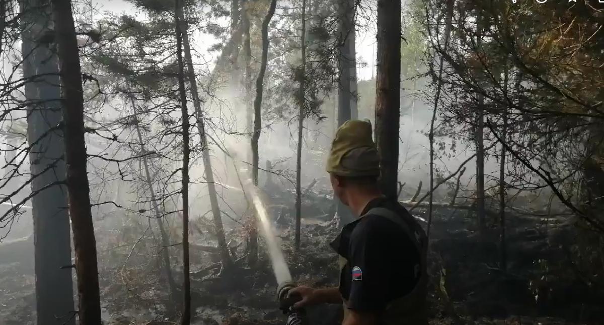 Какая возникает ответственность за нарушение законодательства о пожарной безопасности в лесах