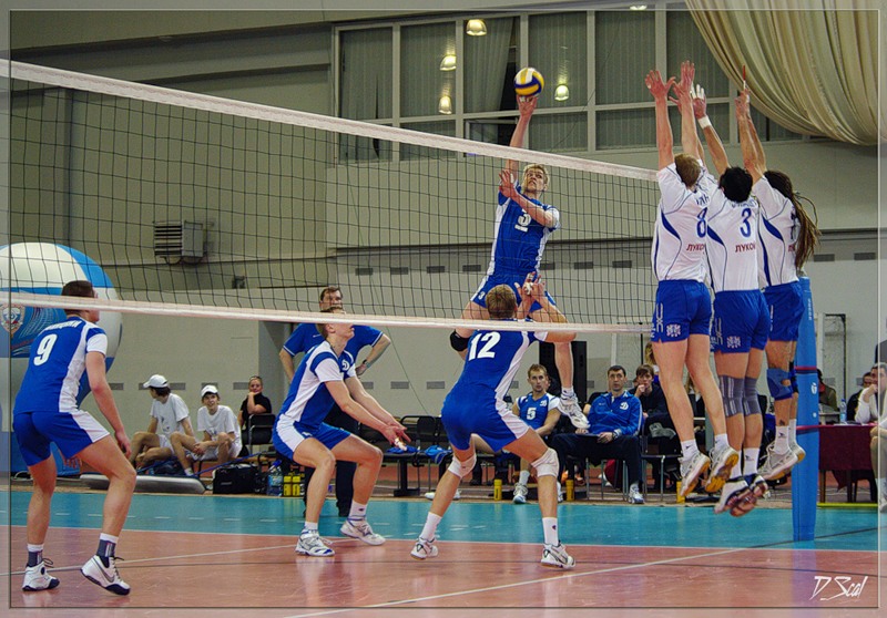 20-21 января в Сосновом Бору пройдет турнир по волейболу памяти В. И. Некрасова