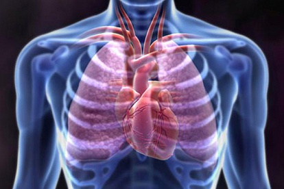 Заболевания легких и сердце