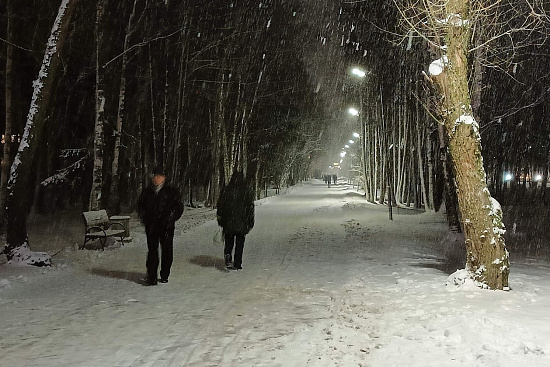 У школы №5, у вокзала и на Ракопежском шоссе в Сосновом Бору фонари ...