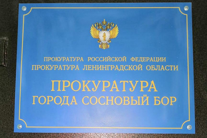 Прокуратура Соснового Бора поддержала обвинение в отношении жителя Петербурга, который обвиняется в 22 фактах мошенничества