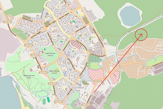 Карта сосновый бор ленинградская область с номерами домов