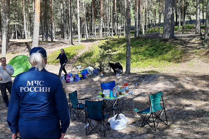 Суммы штрафов за «дикий» отдых на природе предлагают многократно увеличить. В Сосновом Бору подготовят законодательную инициативу