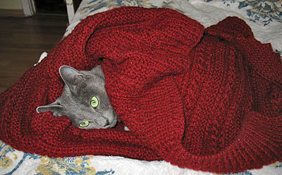 Люди — не кошки, они не могут сутками укрываться от холода (Фото Натальи Козарезовой)