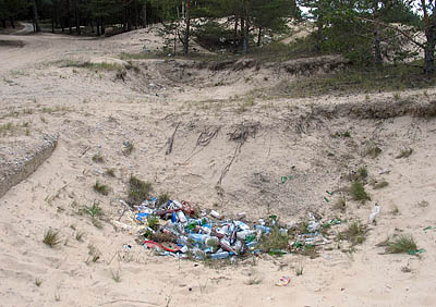  Вырытые ямы тут же заполняются мусором (Фото Нины Князевой)