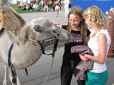  На празднике можно было встретить даже верблюда (Фото Станислава Селина)
