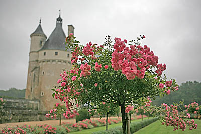  Замком Шенонсо (Франция) в конце XVI века владела Екатерина Медичи (Фото Юрия Шестернина)