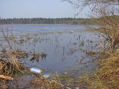  Процесс заболачивания Калищенского озера пока продолжается (Фото Натальи Козарезовой)