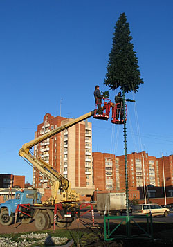 Такую елку рубить уже не придется (снимок сделан у мэрии 15 декабря). (Фото Нины Князевой)