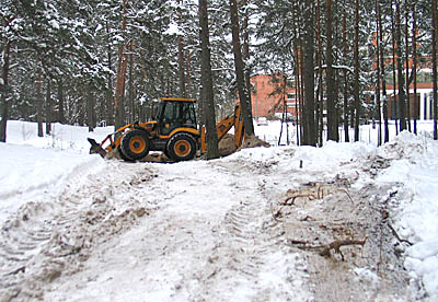  Трактор прошел по лесу, не разбирая пути... (Фото Нины Князевой)