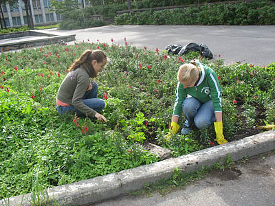  Подростки помогают сделать наш город зеленее и краше (Фото Натальи Козарезовой)
