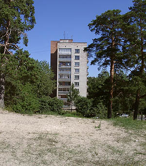 Воля сосновоборцев: строения должны остаться за границей Белых песков. (Фото Нины Князевой)