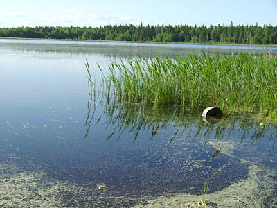  Озеро, если его привести в порядок, сохранится надолго (Фото Нины Князевой, архив «Маяка»)