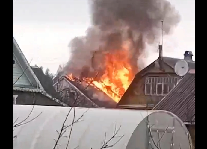 Фото: скриншот видео / Мой Сосновый Бор vk.com