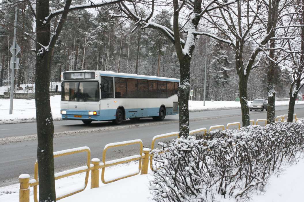 Маршрут 62 автобуса спб