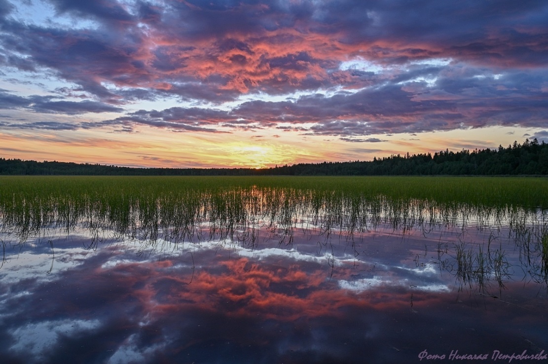 Калищенское озеро / фото: Николай Петровичев