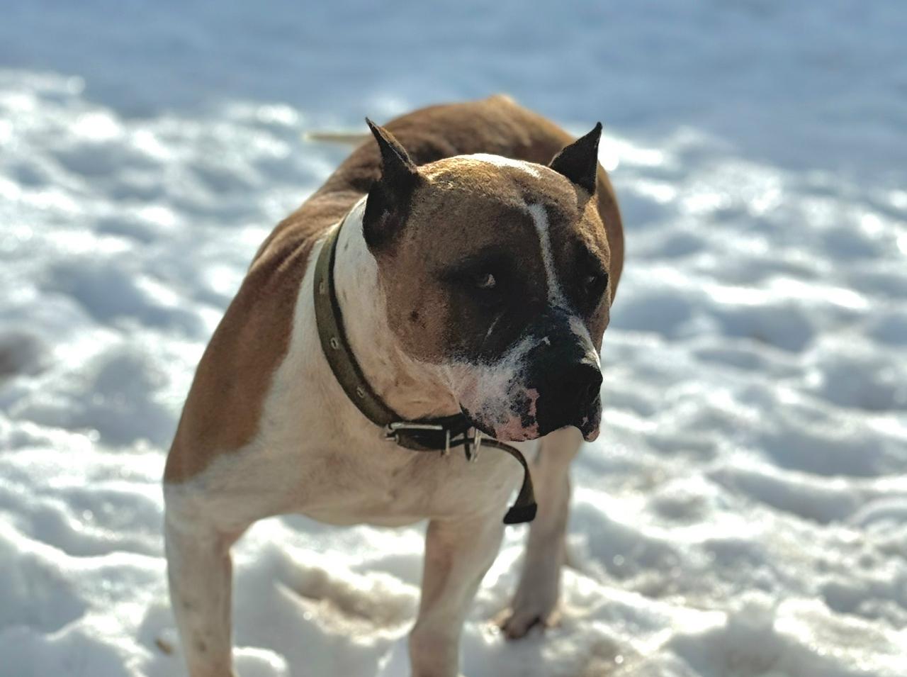 Марик очень ждёт своего человека