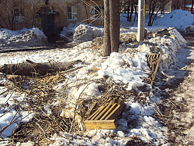 Во дворе между домами 10 и 11 по улице Ленинская несколько недель назад были «обработаны» деревья — ветки свалены в кучу, из-за этого поломана скамейка, которая проломилась то ли под тяжестью снега, то ли неаккуратно был выполнен сруб. (Фото Анны Митченко
