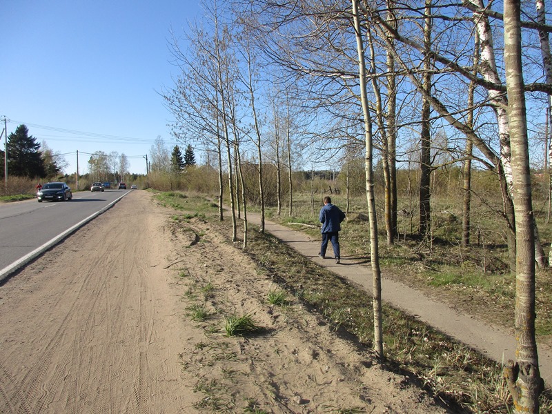 Велодорожку в Ручьях и Липово решили делать вдоль автодороги