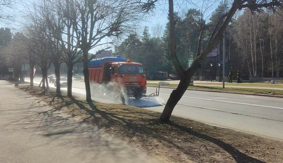 К юбилею Соснового Бора — чистота и праздничное убранство