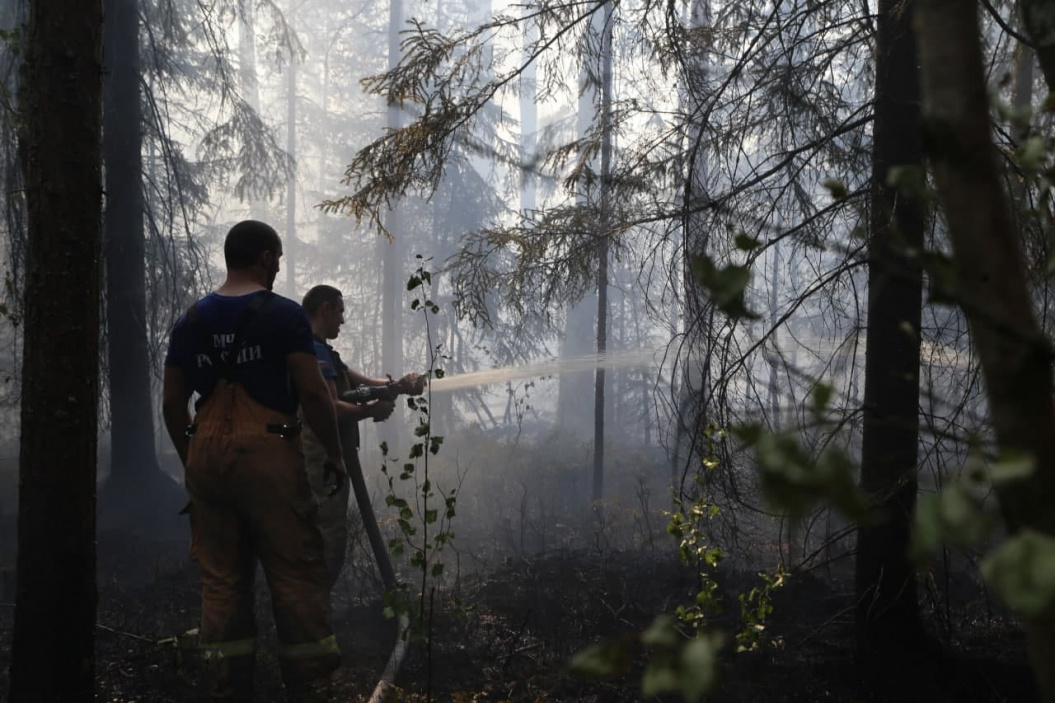 В Якутии значительно возросла площадь лесных пожаров — до 912 тысяч гектаров