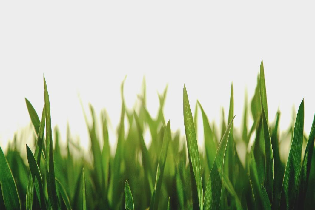Фото: Unsplash