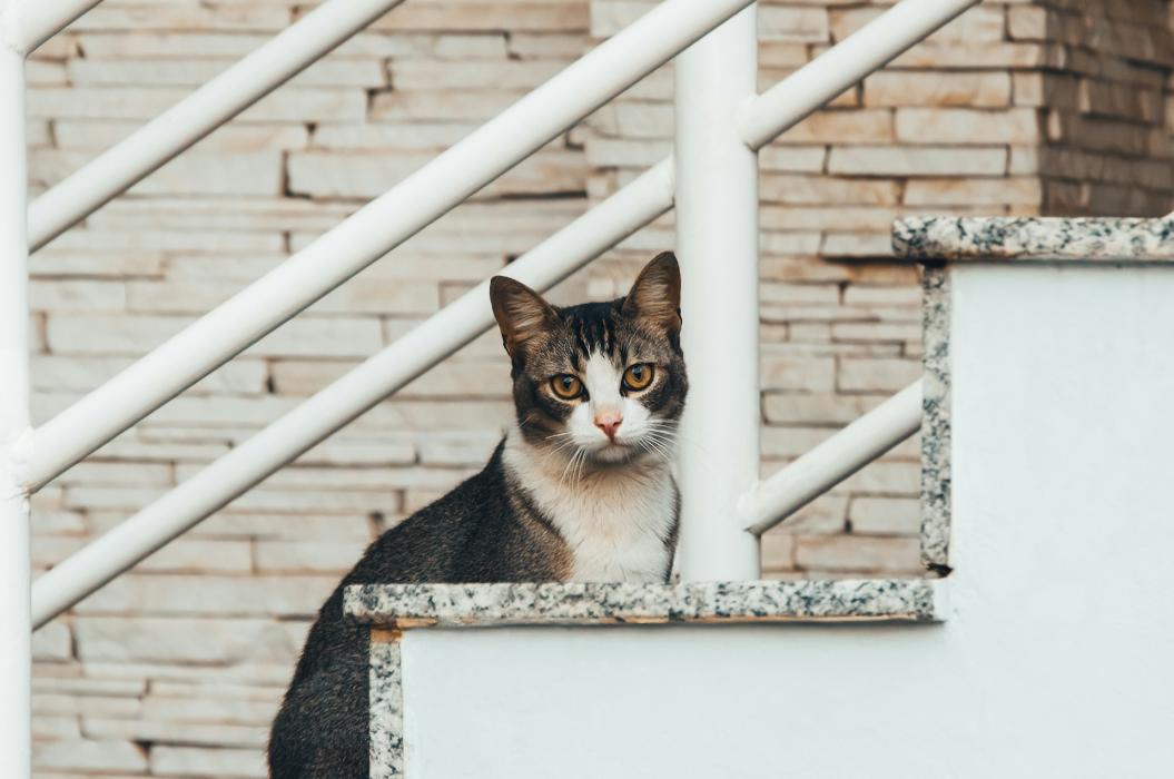 Фото: Unsplash