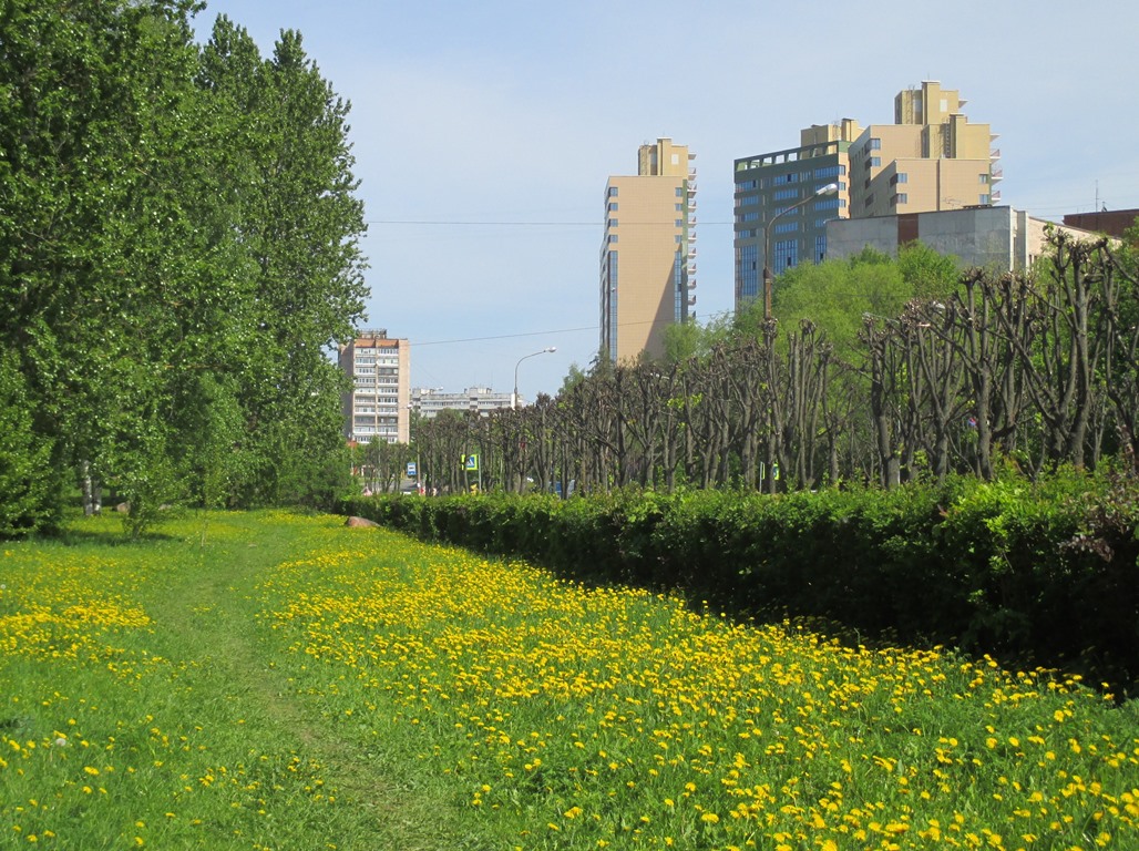 Отопительный сезон-2023 в Сосновом Бору завершится 15 мая