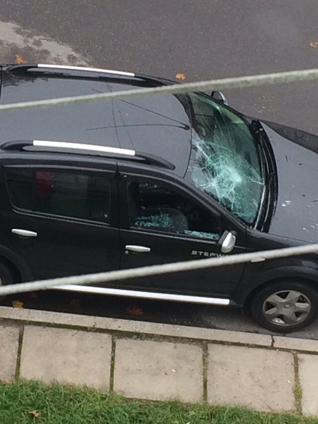 В Сосновом Бору вандалы разбили стекла автомобиля во дворе жилого дома