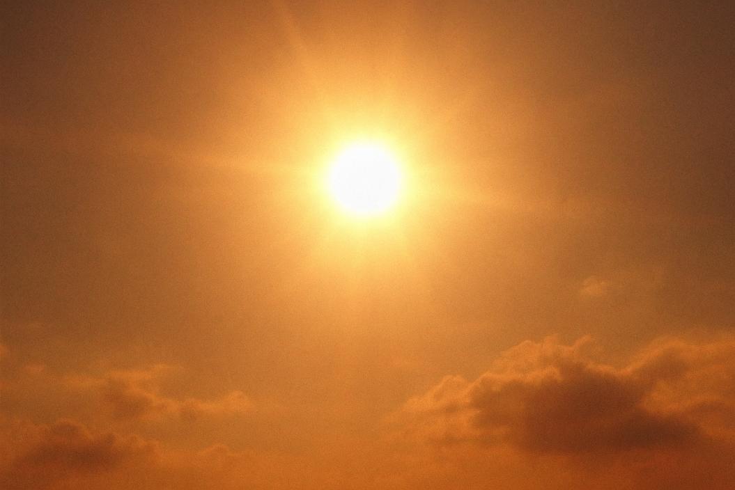 Изображение: Sora