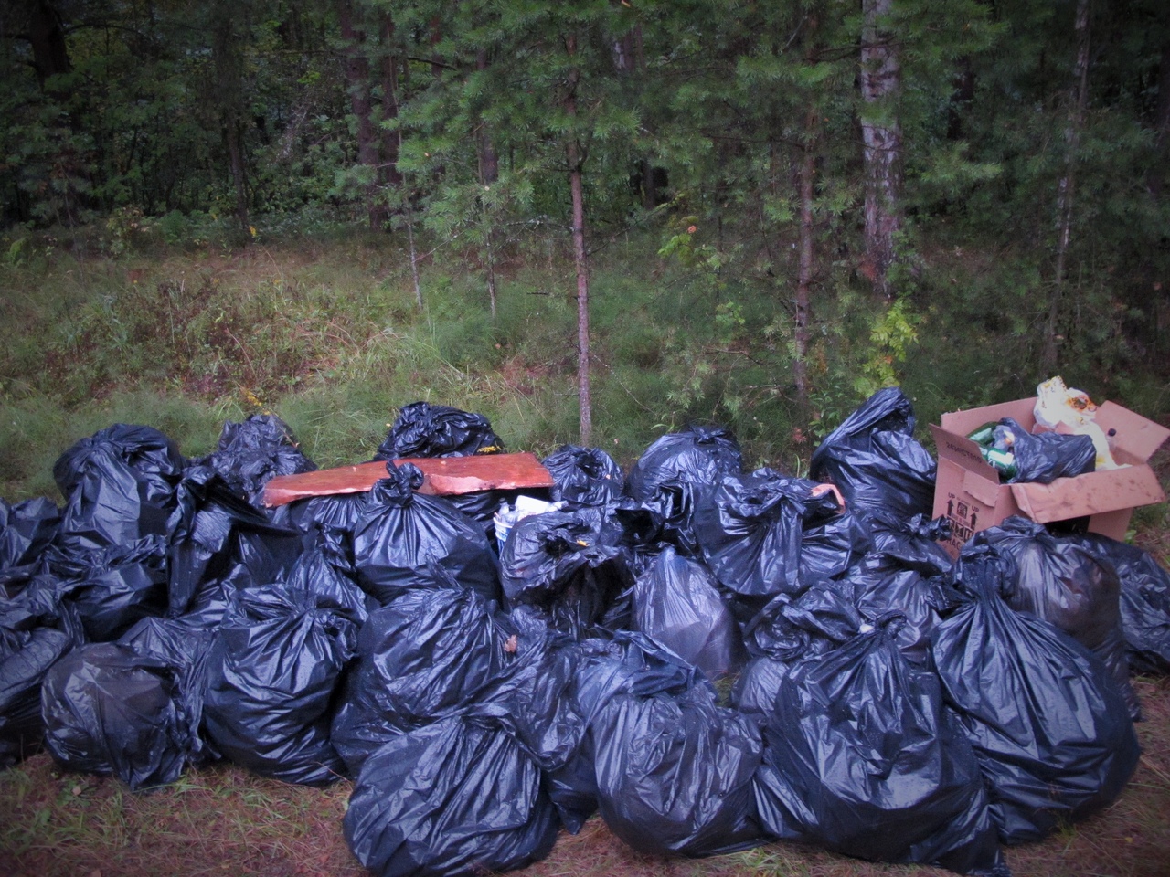 Добровольцы очистили Приморский парк в Сосновом Бору от мусора