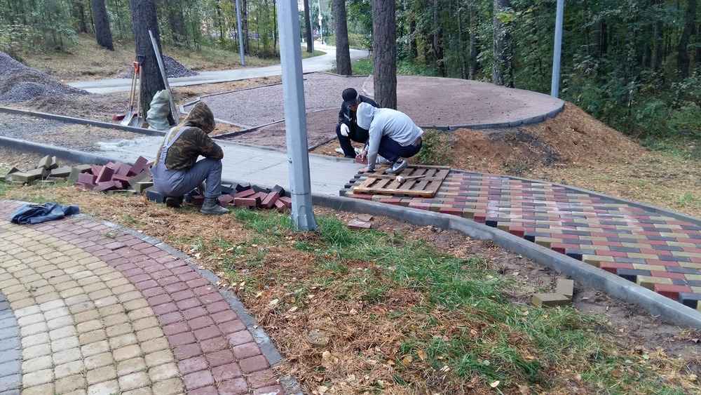 Глава сосновоборской администрации предложил перенести экстрим-парк в центр города